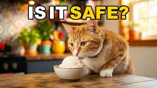 Can Cats Eat Vanilla Is Vanilla Safe For Cats To Eat