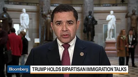 Rep. Cuellar Says Immigration Bill Will Have Border Security