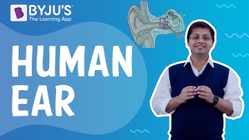 Human Ear | Class 4 I Learn with BYJU