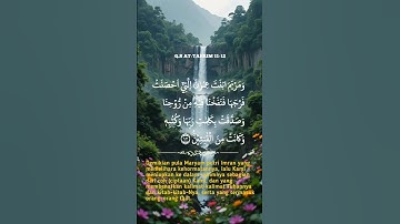 اللهم اجعل القرآن الكريم شفيعا لنا يوم القيامة #القرآن_الكريم #تلاوة_خاشعة #سبحان_الله #استغفر_الله