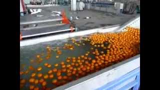 Application: for washing and waxing fruits, such as apple, citrus,
navel orange, honey pomelo etc. to make the fruit appearance look
bright, improve ...