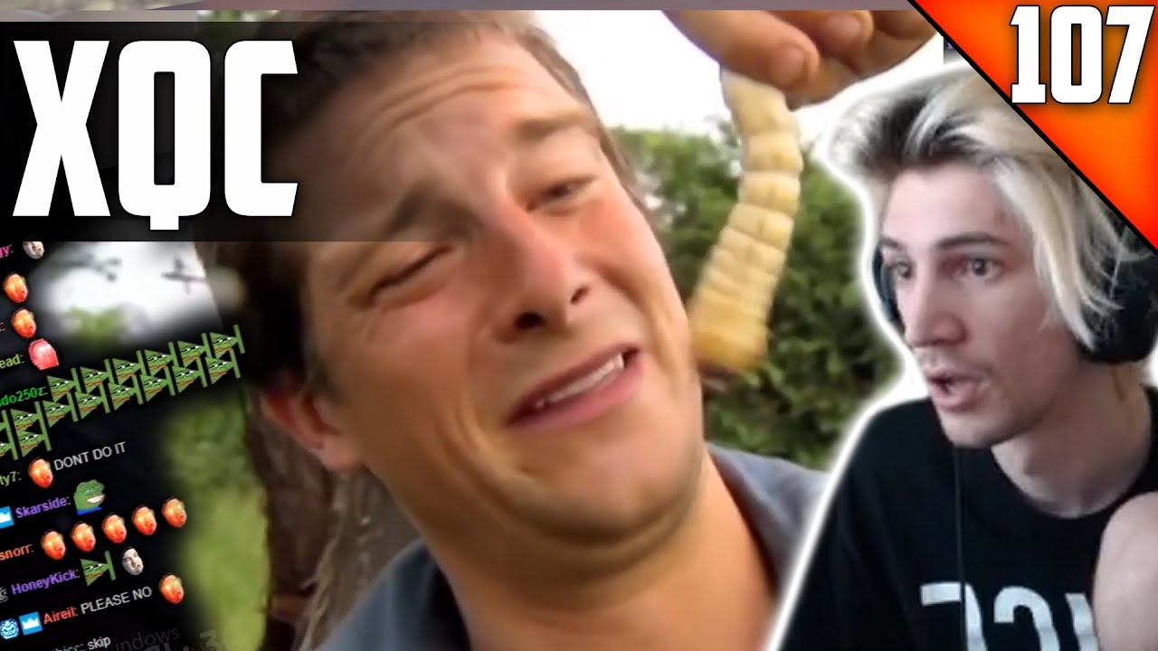 xQc Stream Highlights 