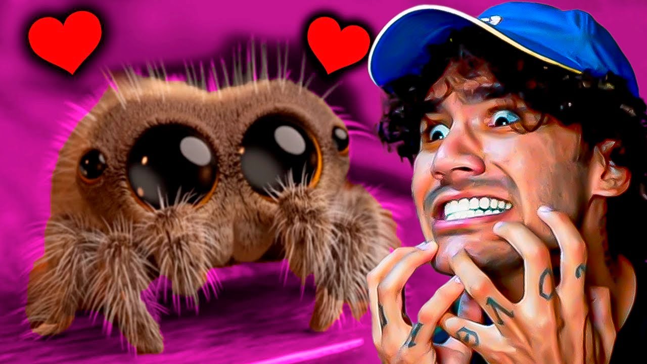 ESSA É A ANIMAÇÃO MAIS FOFA QUE VOCÊ VAI VER NA VIDA! LUCAS A ARANHA