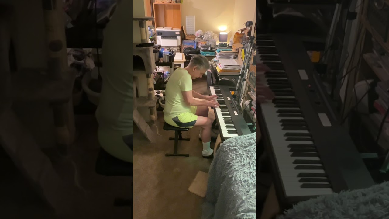 Anvil Panow Live At Home - Piano Improv 8