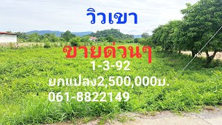 ขายที่ดินวิวเขาสวย 1ไร่ 3 งาน 92 ตรว ยกแปลง 2,500,000 บาท ต.สาลิกา อ.เมือง จ.นครนายก 061-8822149