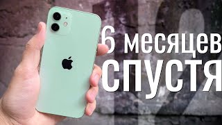 iPhone 12 ПОЛГОДА спустя: СТОИТ ЛИ КУПИТЬ или лучше взять iPhone 11?