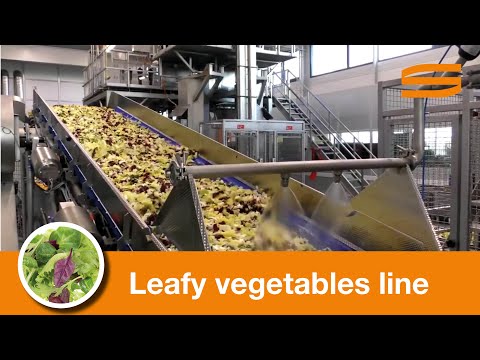 Leafy vegetables processing line - Sormac