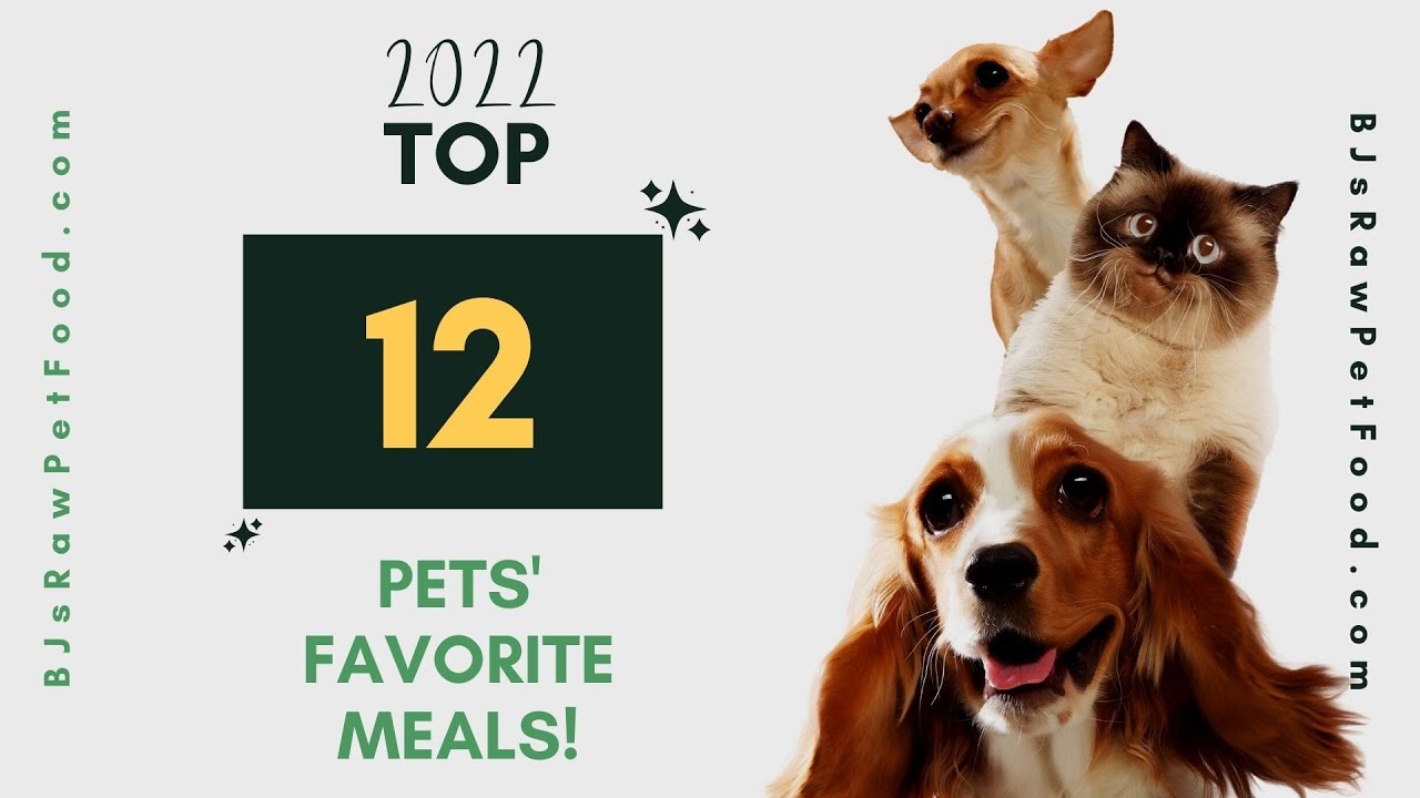 2022 Top 12 Pets' Favorites Meals BJ's Raw Pet Food YouTube