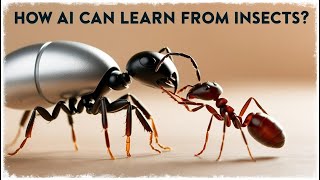 What Insects Teach Us About Artificial Intelligence