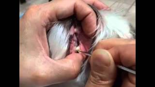 Routine Home Scaling