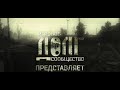 3 мыши в одной катке