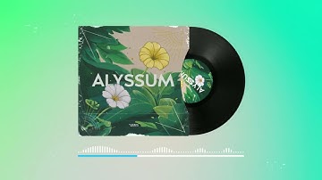 VNCM - Alyssum | R&B| Nhạc Không Bản Quyền