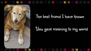 Pawprints On My Heart (Original Song)