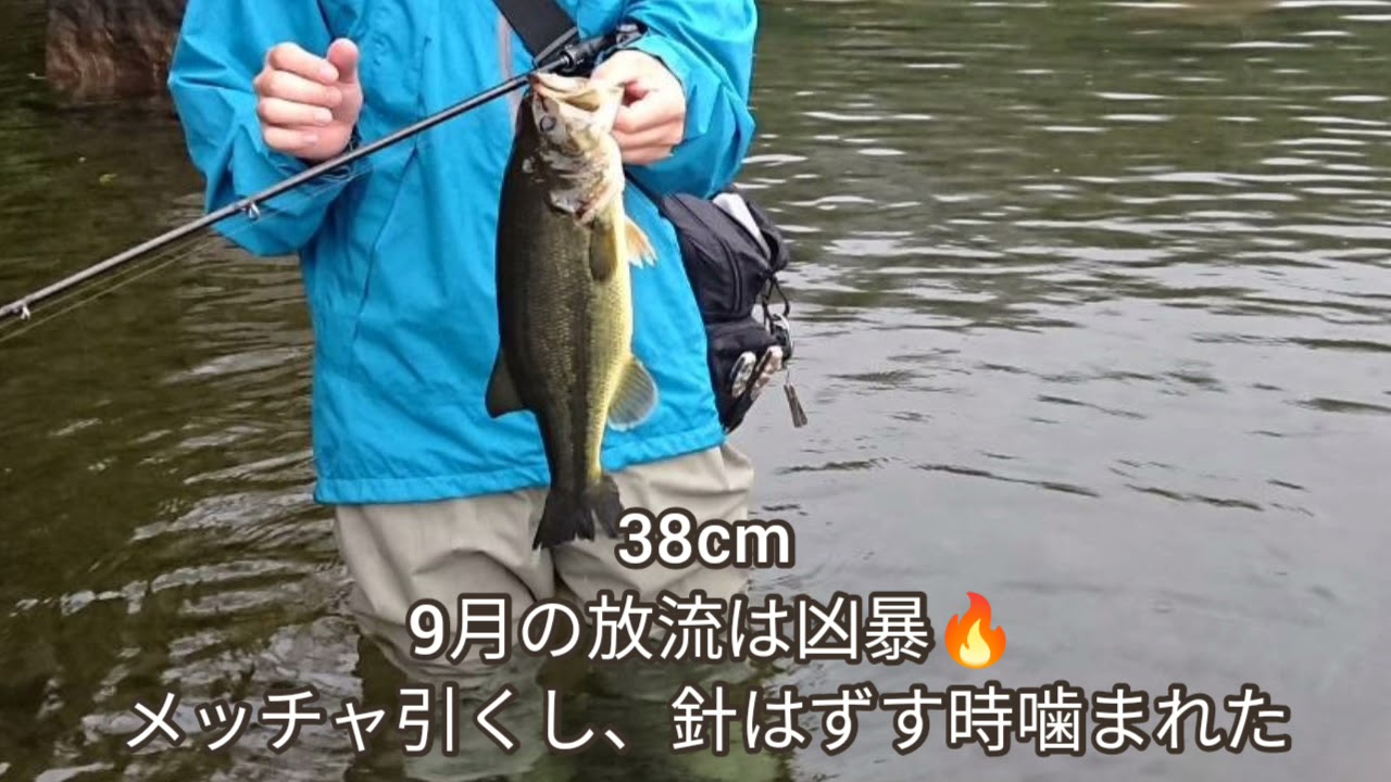 芦ノ湖白浜 ９月ラスト放流 ブラックバス ボチボチ釣れた 21 9 17 Youtube