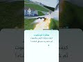 طائرة كونكورد.. كيف سبقت الزمن والصوت ثم خسرت سباق البقاء؟