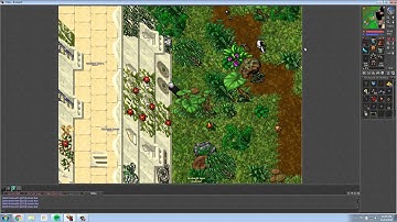 Tibia Tracker - The Lightbearer Guide (Forbidden Lands Basin)