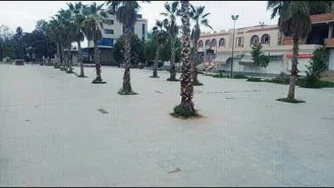 تلاو ة خاشعة ومؤثرة تقليد القارئ ياسر الدوسري القارئ محمد محمد أمين بلدية الهرانفة ولاية الشلف