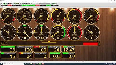 Setting up FlexFuel input/display for firmware 1.2.38 on VEMS