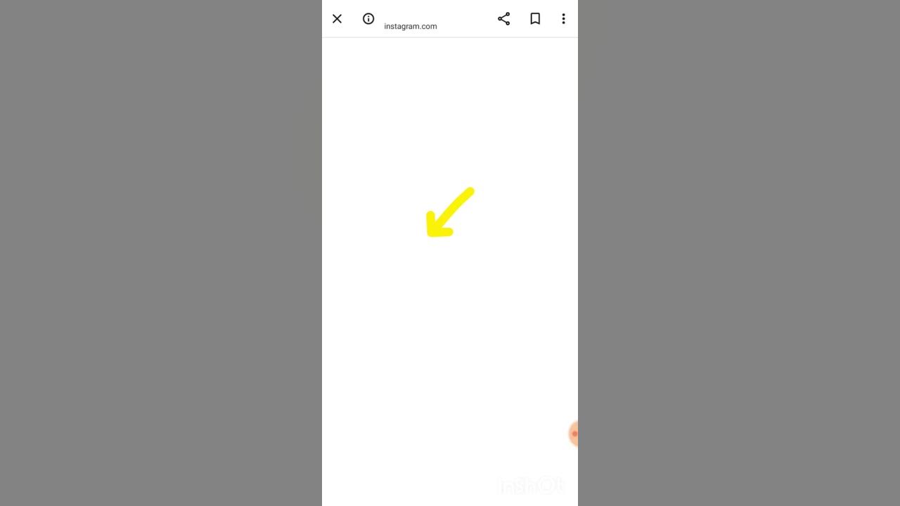 Can You Download Private Instagram Stories
