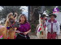 Llamas de los Cuchumatanes