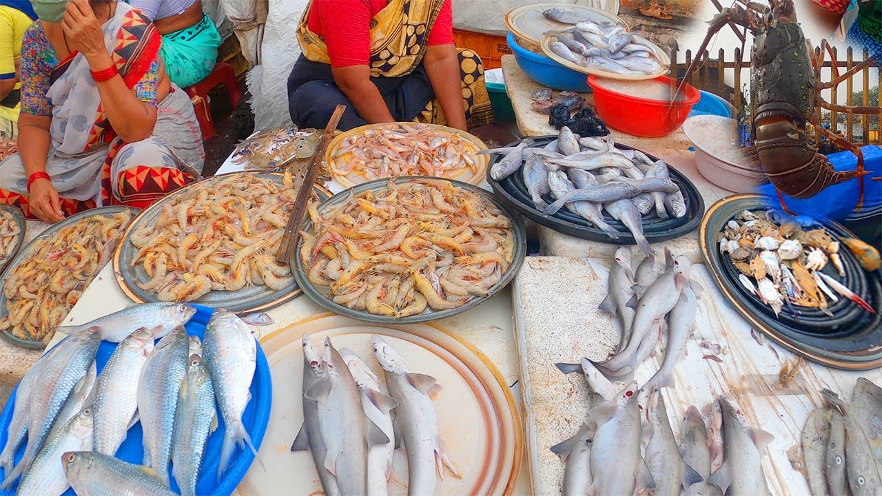 Sassoon Dock Fish Market भारतातील मुंबई मधले जुने फिश मार्केट Fish