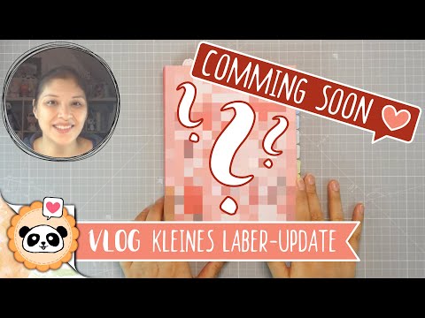 What happened? What's next? - Short chat video | VLOG GERMAN