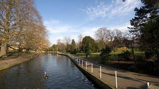 Grove Park (Sutton) | Wikipedia audio article Net Worth