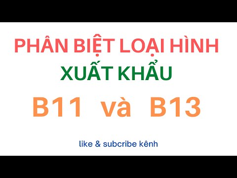 Phân Biệt Loại Hình Xuất Khẩu B11 Và B13 ???? | Giải thích Chi tiết