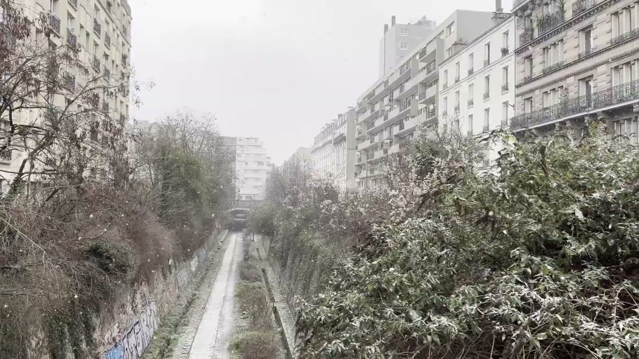 Snowfall In Paris, France