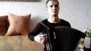 В темной роще глухой Песня брянских партизан (harmonic cover)