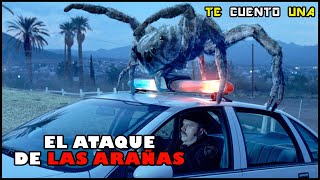 El Ataque De Las Arañas | EN 10 MINUTOS