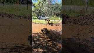 bashing in deep mud with the losi kingsling and boghog