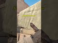 Dust 2 - Смок для сплита Б сайта #cs2 #кс2