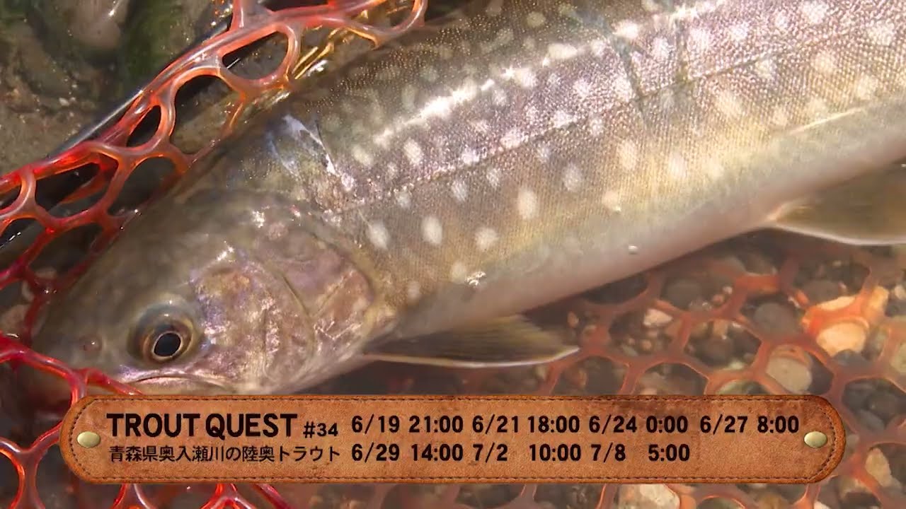 YouTube_7wTT61VfPYcサムネイル