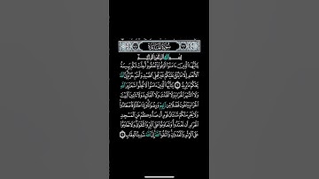 سورة مائدة #اكسبلور #لايك #قرآن #quran #quranic