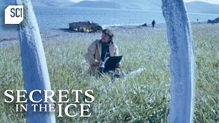 Mysterious Discovery of Whale Bones in Siberia | Secrets in the Ice | Science Channel