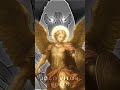 Miguel anjo ✝️