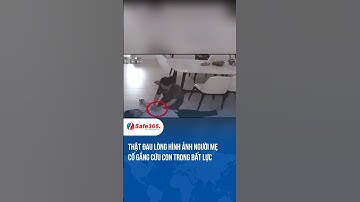 Đau lòng hình ảnh người mẹ nỗ lực cứu con #safe365 #pccc #114 #trending #smarthome