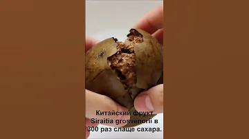 Китайский фрукт Siraitia grosvenorii в 300 раз слаще сахара