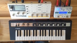 Relight - A Synth Jam with the Blofeld and the Specular Tempus