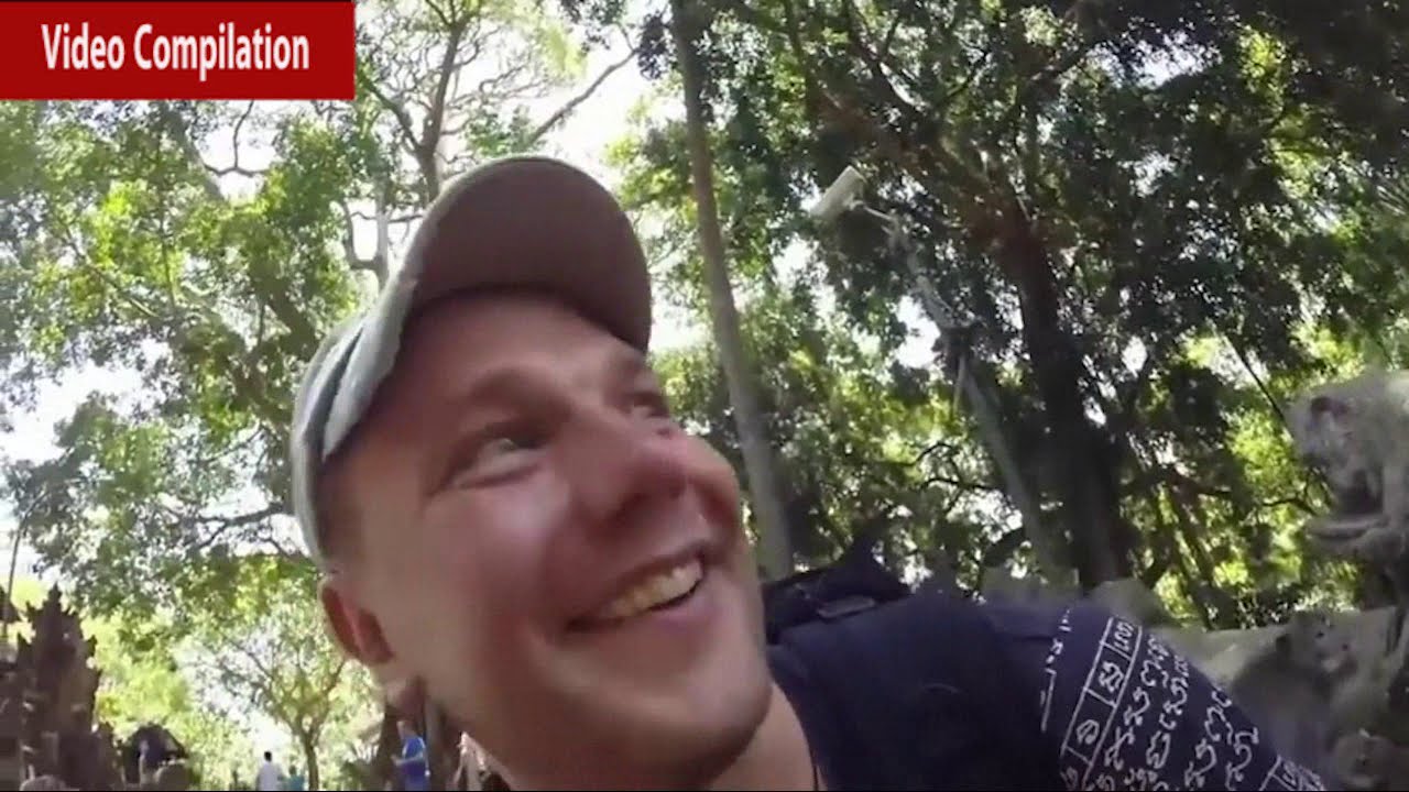 Top Most Shocking Wild Animal Attacks Video |  Top 10 Craziest Animal Attacks