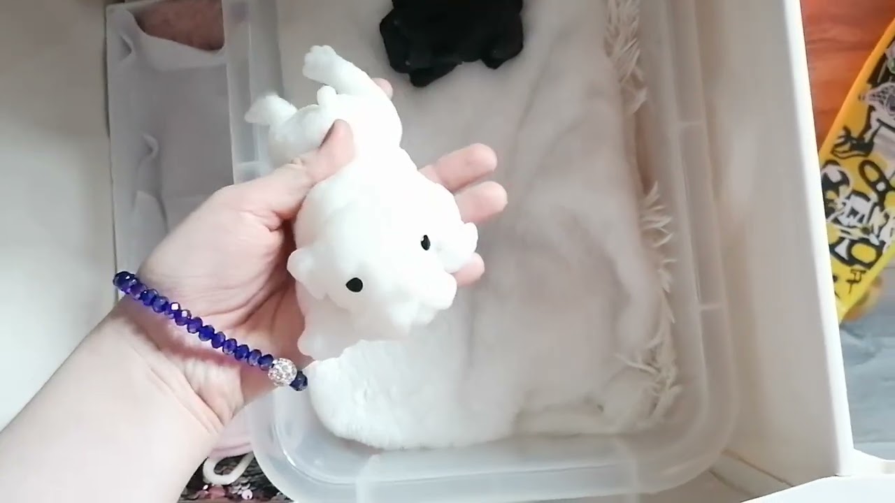 обзор на уголок, собачек антистресс, белла и дейзи 💗