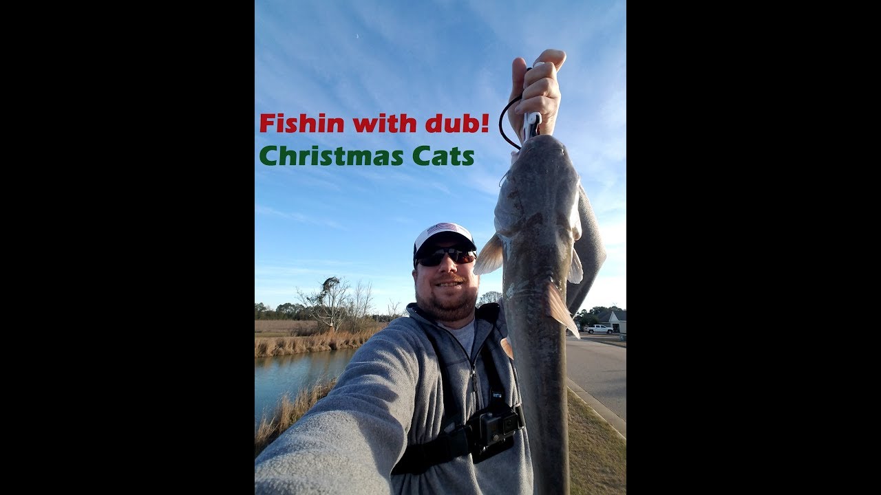 Christmas Cats YouTube