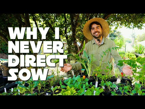 Video: What About Overgrown Seedlings?