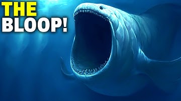 The Bloop | Explained