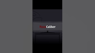 Zero Sievert- DELETUS