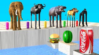 Choose the Right Mystery Drink Bottle with Elephant Mammoth Gorilla Cow Hippo Max Level LONG LEGS