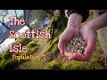 57 the scottish isle  red deer chaos starting permaculture  native plants highlands scotland