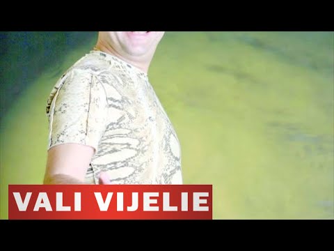 VALI VIJELIE - De Ce Ai Plecat (OFICIAL AUDIO TRACK)