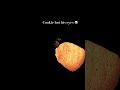 #trending #viral #yt